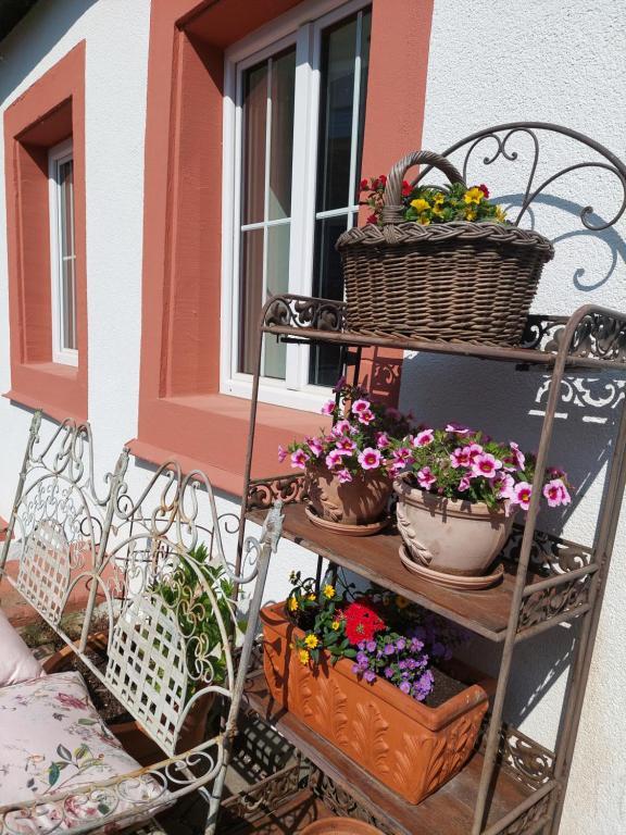 Romantisches Ferienhaus In Moselnaehe 매링노비안드 외부 사진
